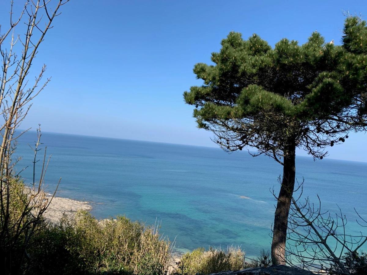 Appartement Villa Chausey, Vue Sur Le Port Granville Zewnętrze zdjęcie